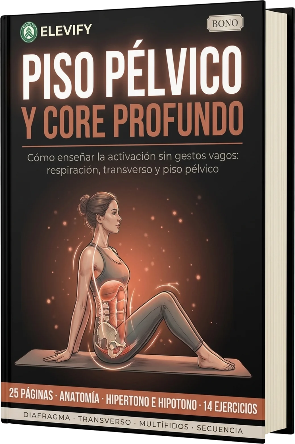 Piso Pélvico y Core Profundo
